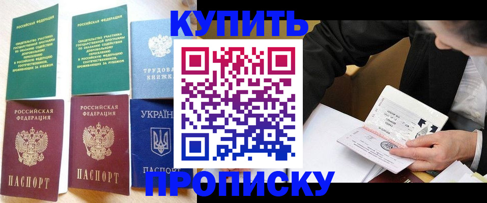 прописка для школы в Владимирской области